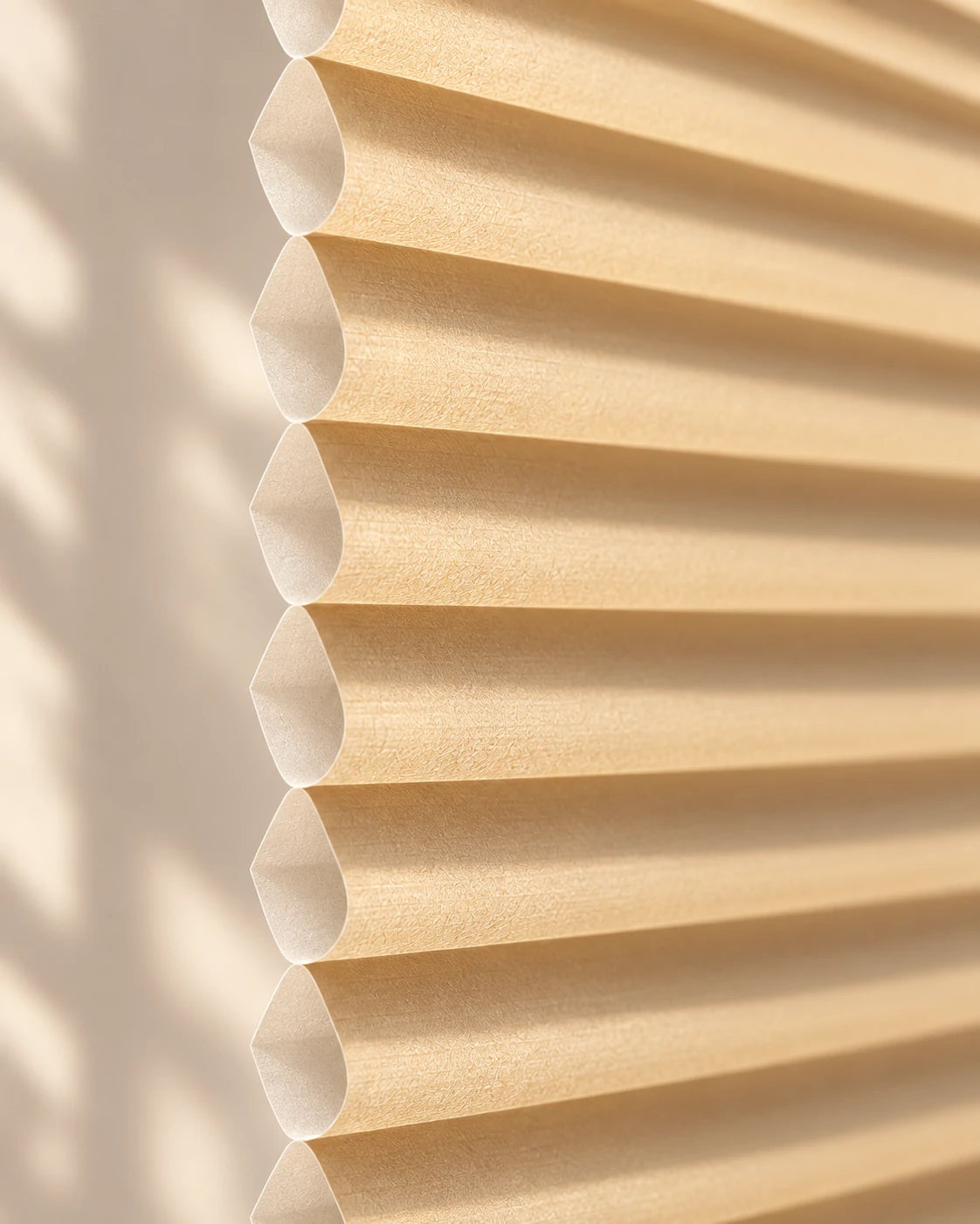 Top-down / bottom-up honeycomb shade · Honeycomb side profile
